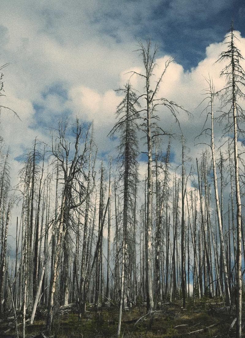 Solving a New Product Line's Go-To-Market Challenges